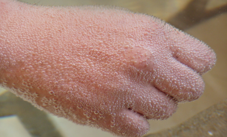 1724828260879004.png 1724828260879004.png