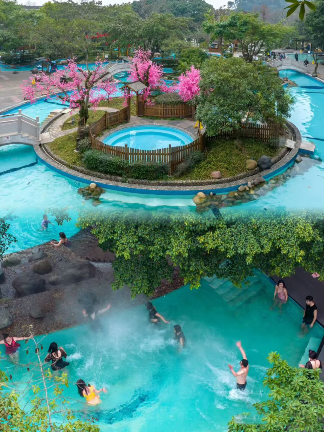 1766794712881727.jpg 2025_12_25_13_31_IMG_6612.JPG